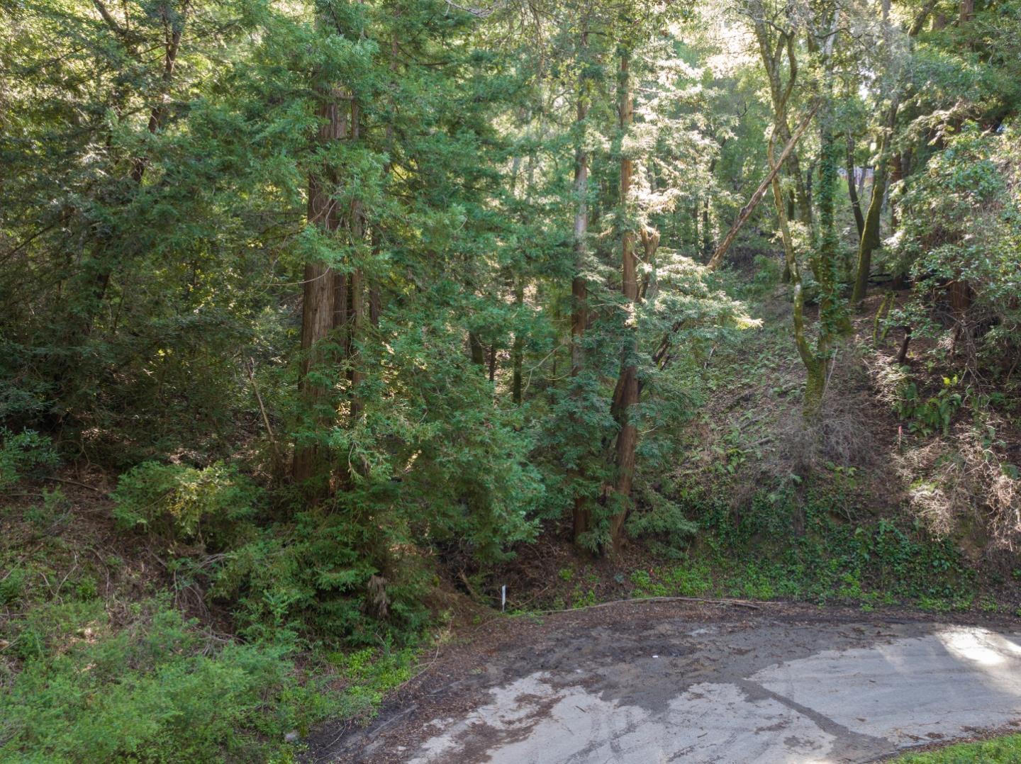 Detail Gallery Image 2 of 12 For Lot 34 Lake Blvd, Felton,  CA 95018 - – Beds | – Baths