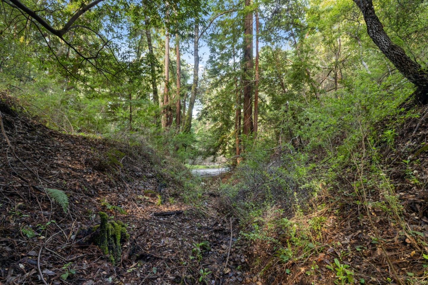 Detail Gallery Image 6 of 12 For Lot 34 Lake Blvd, Felton,  CA 95018 - – Beds | – Baths