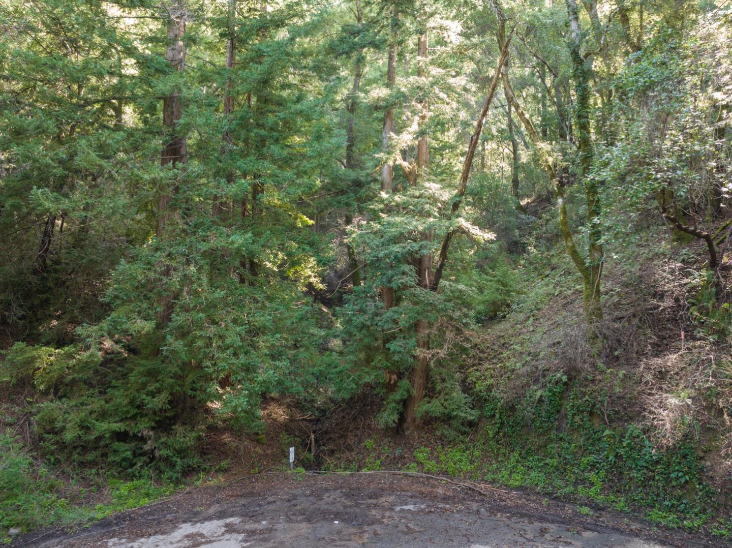 Detail Gallery Image 8 of 12 For Lot 34 Lake Blvd, Felton,  CA 95018 - – Beds | – Baths
