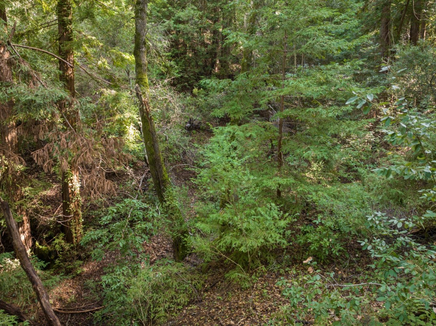 Detail Gallery Image 9 of 12 For Lot 34 Lake Blvd, Felton,  CA 95018 - – Beds | – Baths