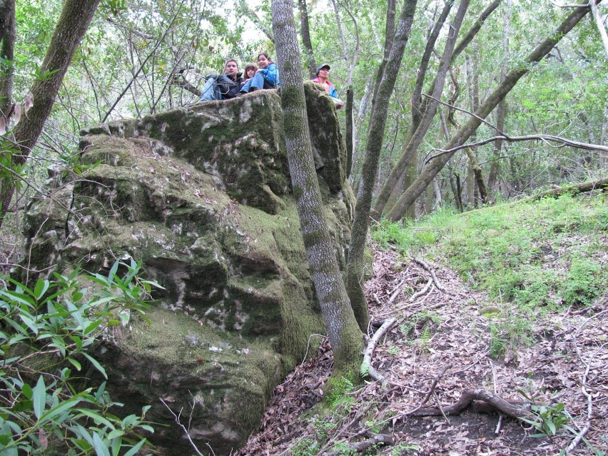 11 Little Uvas Road, Morgan Hill, CA, 95037