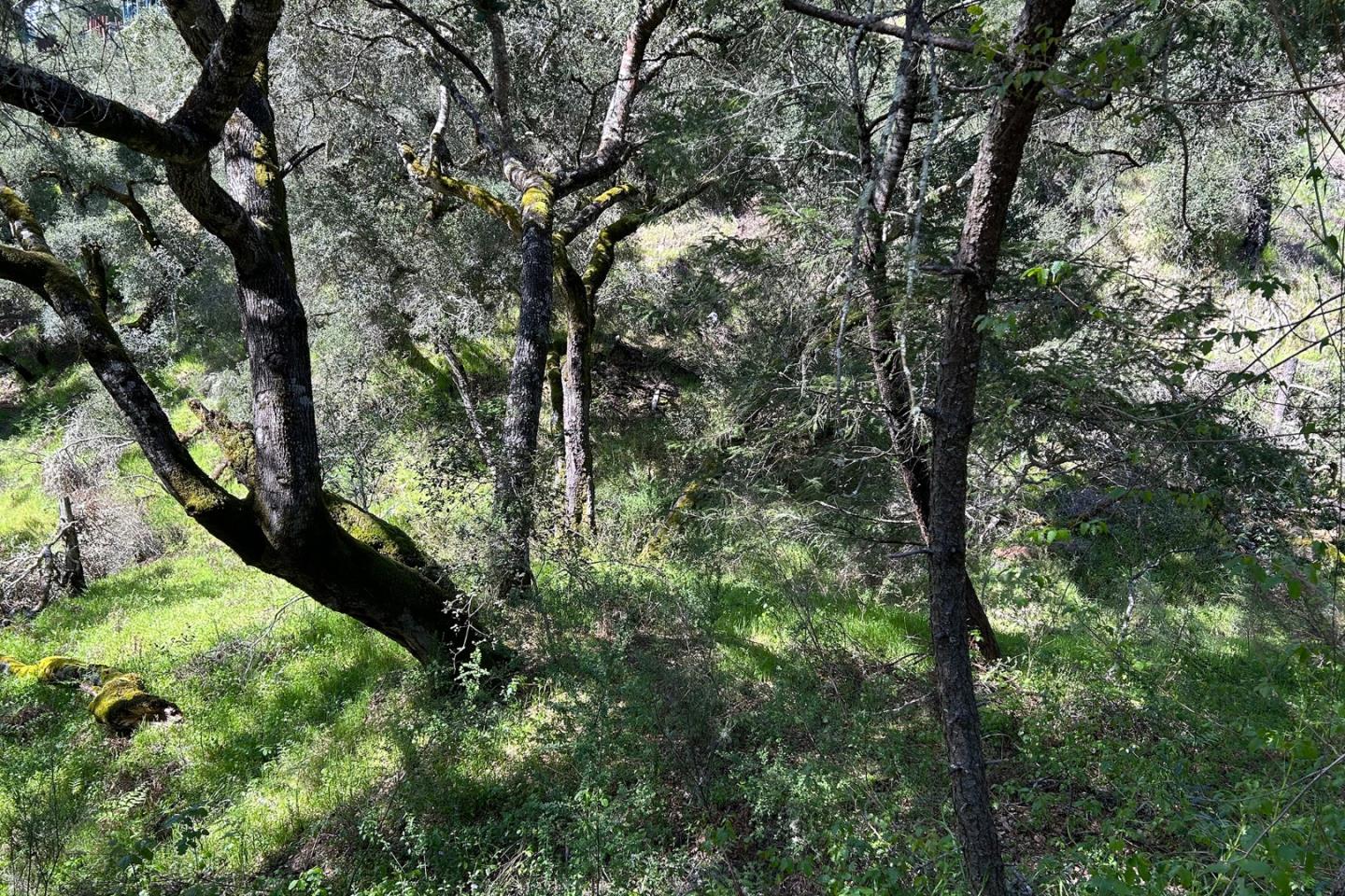 Detail Gallery Image 5 of 7 For 0 Marion Ave, Ben Lomond,  CA 95005 - – Beds | – Baths