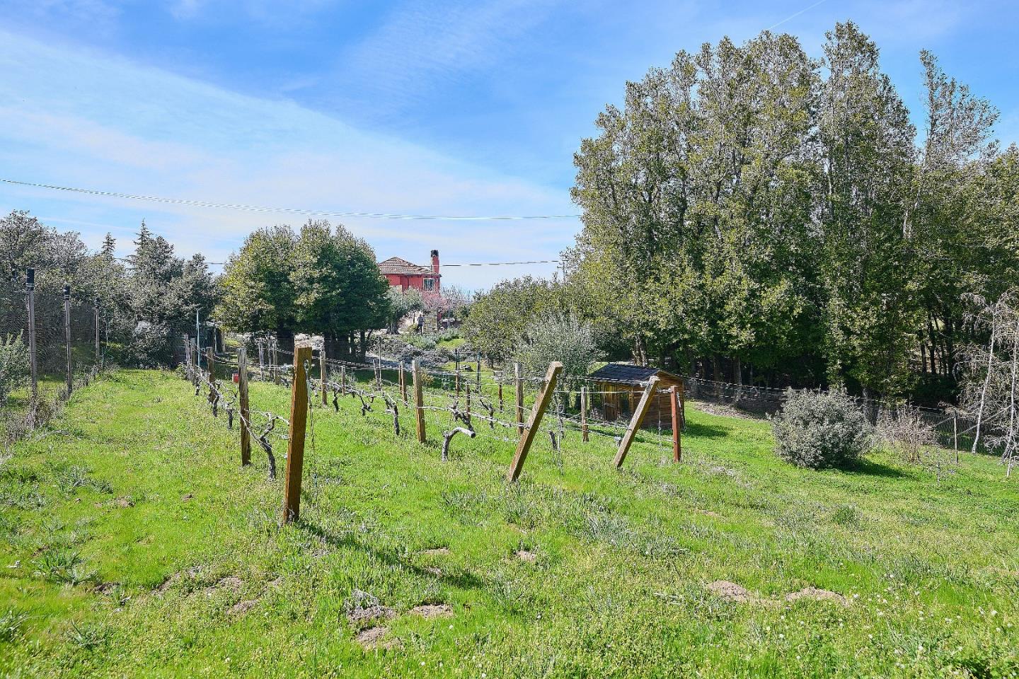 Detail Gallery Image 40 of 41 For 17035 Bohlman Rd, Saratoga,  CA 95070 - 4 Beds | 2/1 Baths