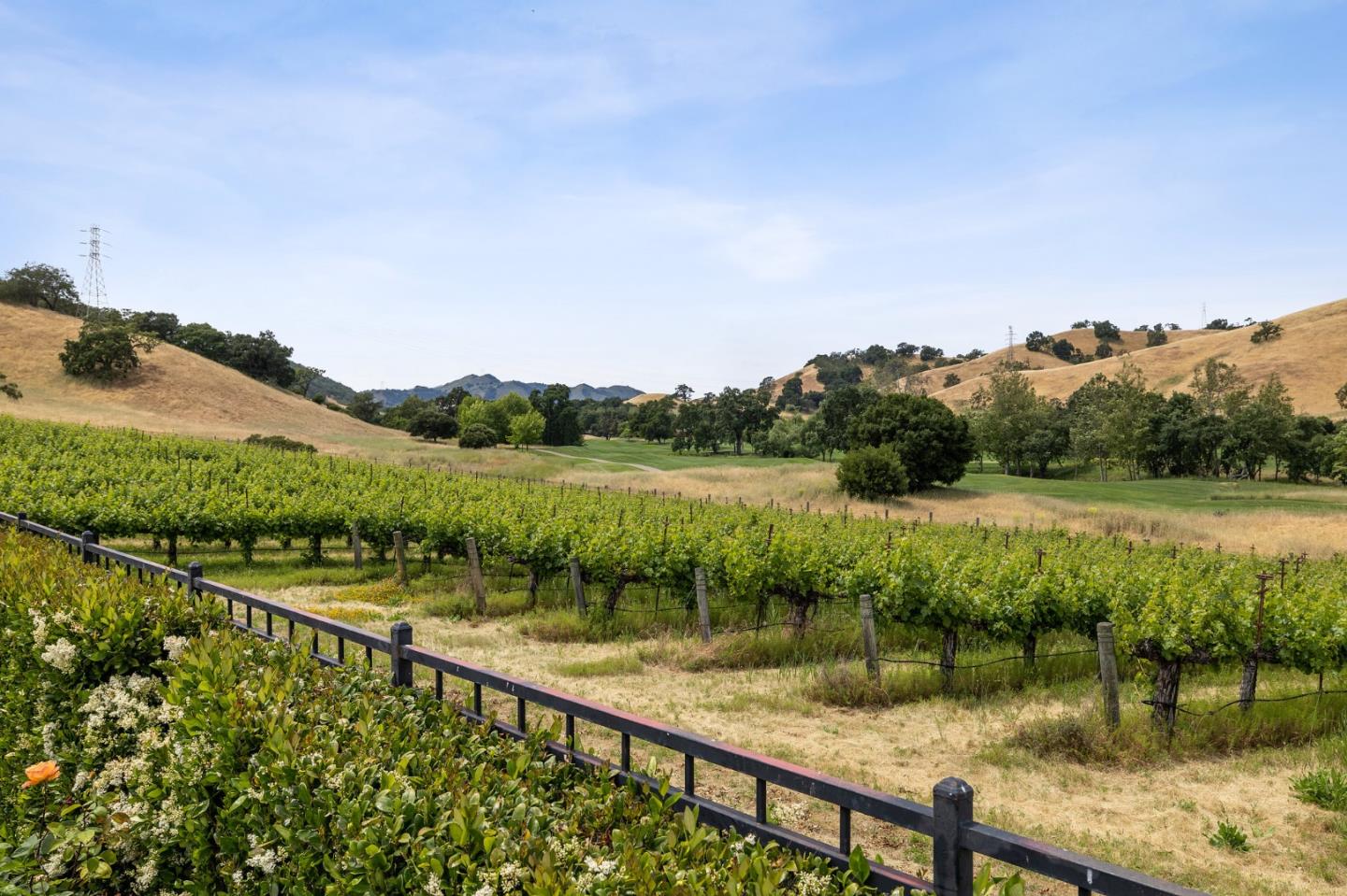 Detail Gallery Image 48 of 87 For 1305 Lions Peak Ln, San Martin,  CA 95046 - 4 Beds | 4/1 Baths