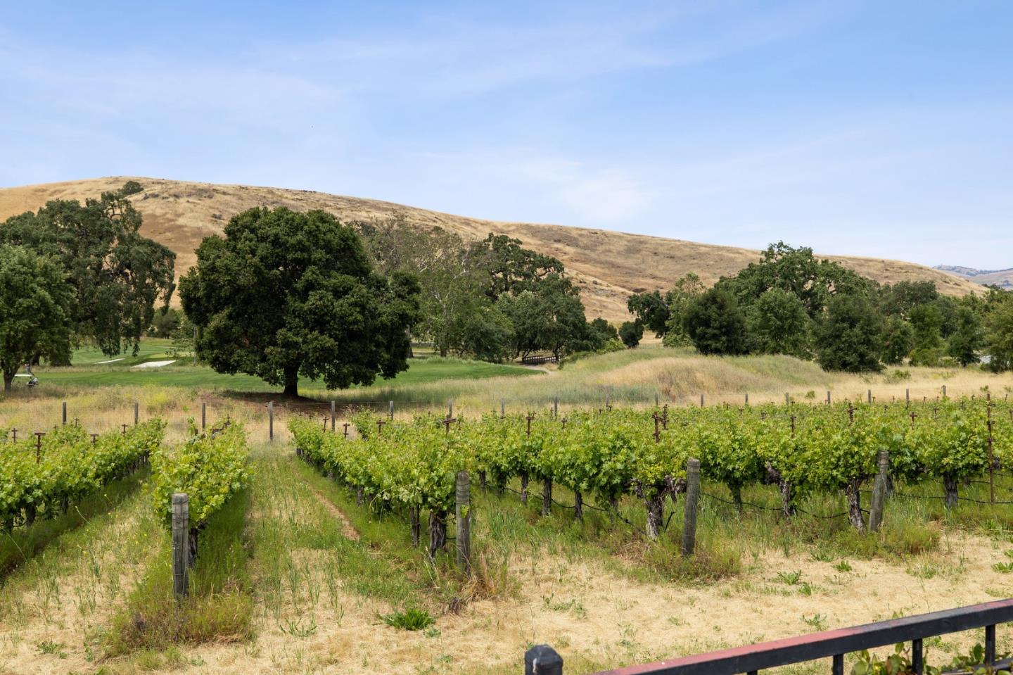 Detail Gallery Image 49 of 87 For 1305 Lions Peak Ln, San Martin,  CA 95046 - 4 Beds | 4/1 Baths