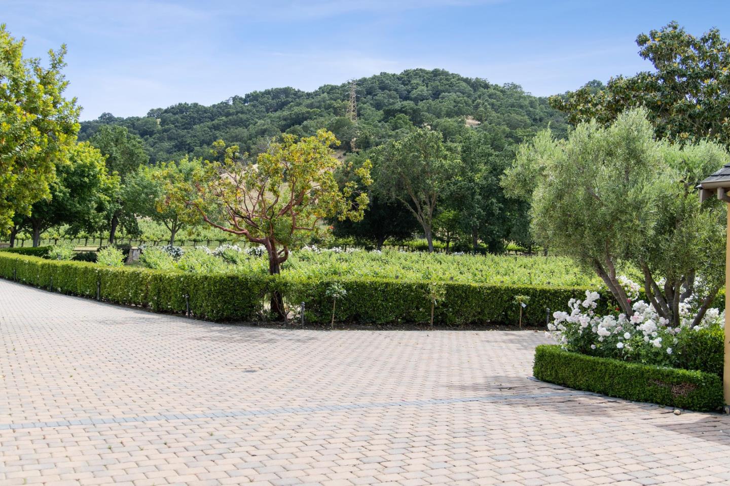 Detail Gallery Image 80 of 87 For 1305 Lions Peak Ln, San Martin,  CA 95046 - 4 Beds | 4/1 Baths