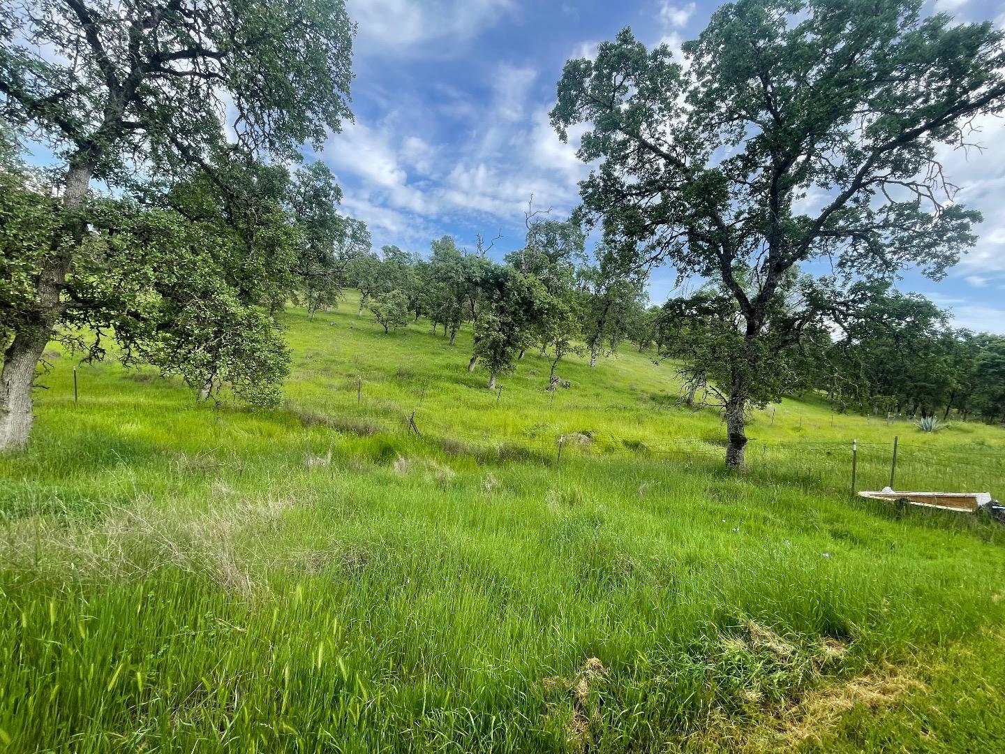 Detail Gallery Image 15 of 20 For 00 Avacado Rd, Oroville,  CA 95966 - – Beds | – Baths