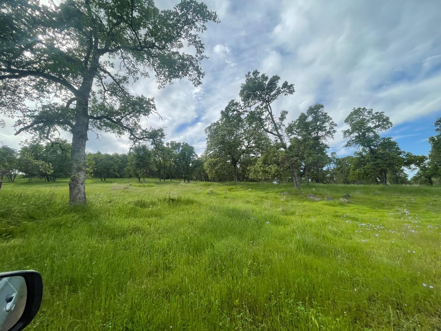 Detail Gallery Image 16 of 20 For 00 Avacado Rd, Oroville,  CA 95966 - – Beds | – Baths