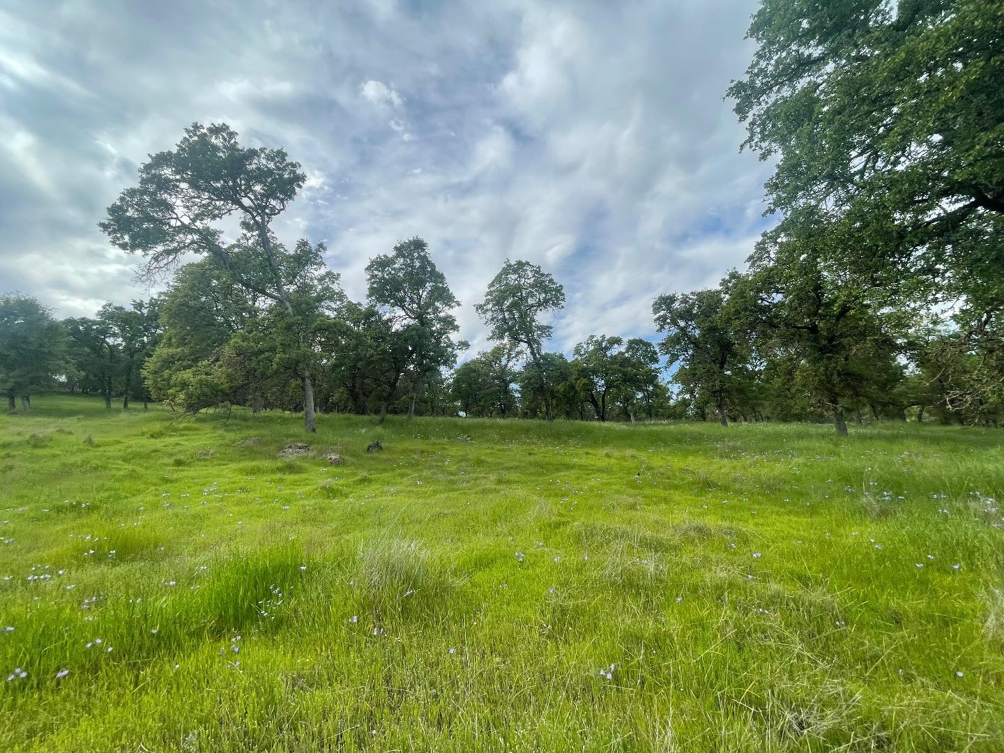 Detail Gallery Image 17 of 20 For 00 Avacado Rd, Oroville,  CA 95966 - – Beds | – Baths