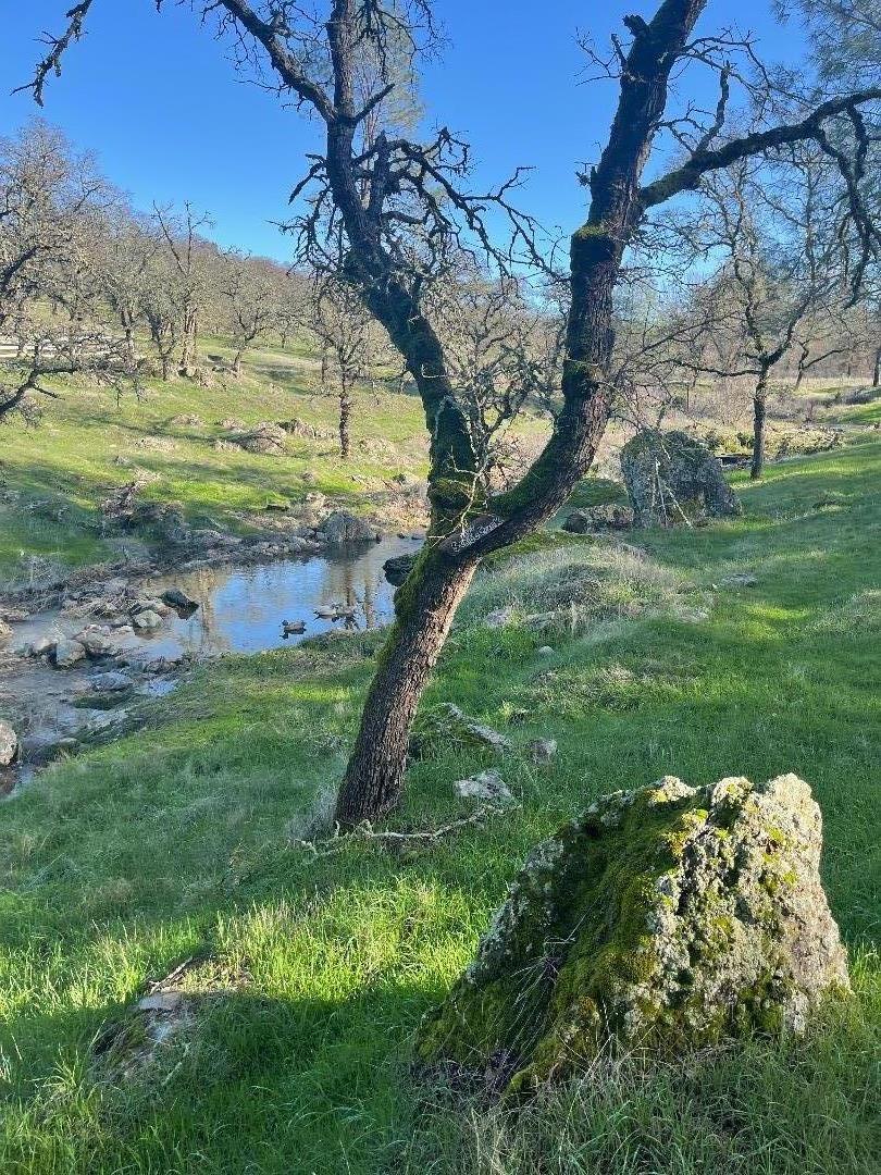 Detail Gallery Image 8 of 20 For 00 Avacado Rd, Oroville,  CA 95966 - – Beds | – Baths