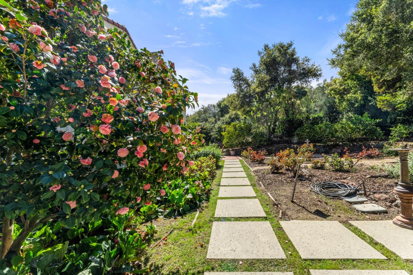 Detail Gallery Image 54 of 72 For 710 Frenchmans Rd, Stanford,  CA 94305 - 6 Beds | 3 Baths