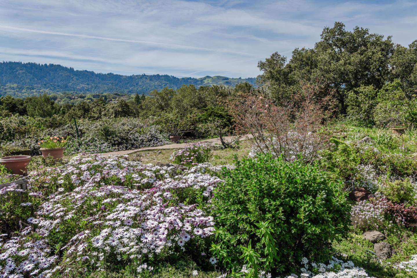 Detail Gallery Image 2 of 44 For 640 Los Trancos Rd, Portola Valley,  CA 94028 - 4 Beds | 3 Baths