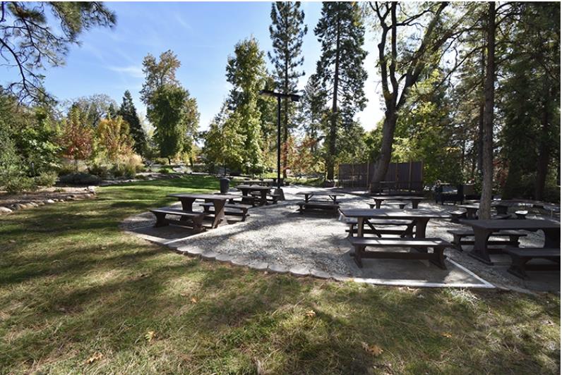 Detail Gallery Image 6 of 13 For 280 Forest Meadows Dr, Murphys,  CA 95247 - – Beds | – Baths