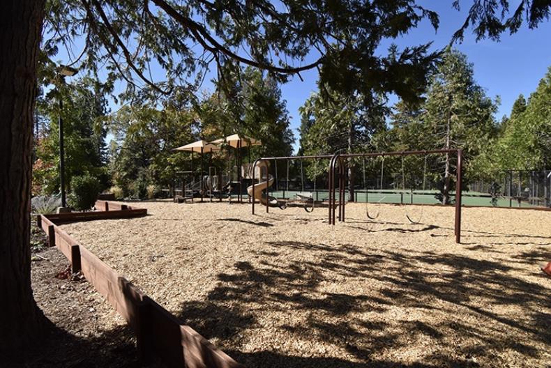 Detail Gallery Image 7 of 13 For 280 Forest Meadows Dr, Murphys,  CA 95247 - – Beds | – Baths
