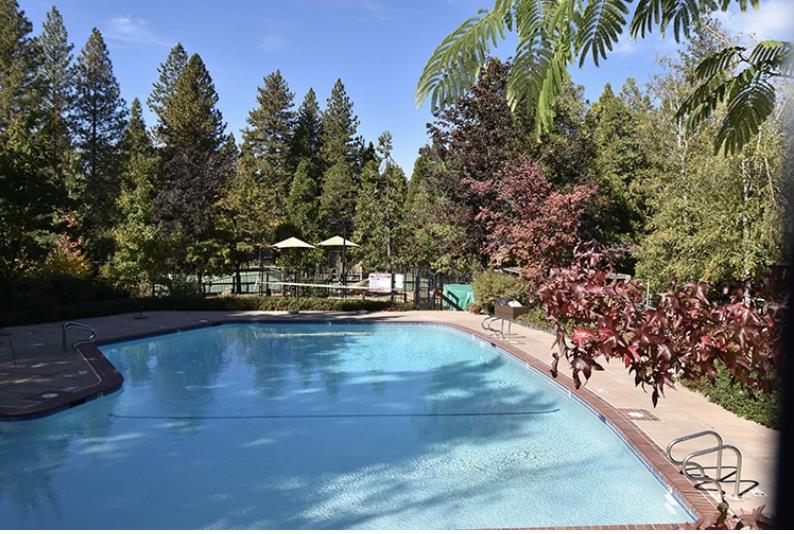Detail Gallery Image 8 of 13 For 280 Forest Meadows Dr, Murphys,  CA 95247 - – Beds | – Baths