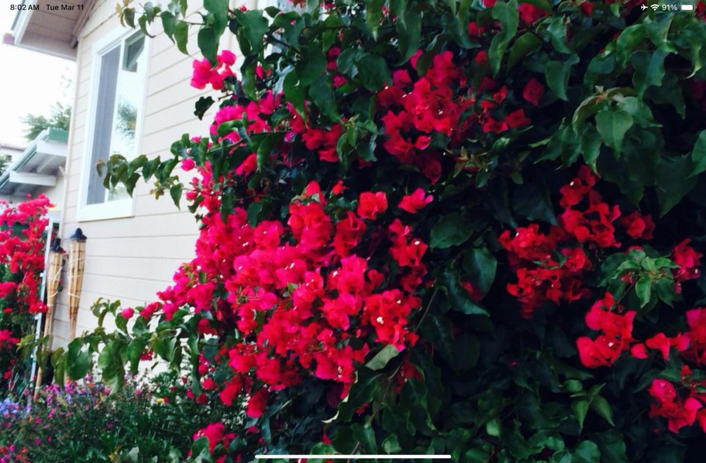 Detail Gallery Image 11 of 20 For 251 Laurel St, Avila Beach,  CA 93424 - 3 Beds | 2 Baths