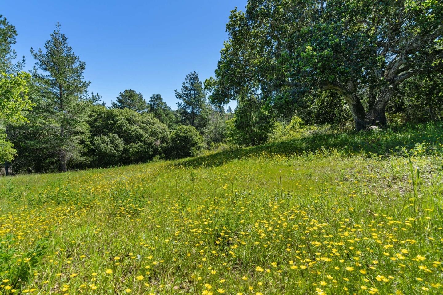 Detail Gallery Image 14 of 30 For 23 Tehama (Homesite 40), Carmel,  CA 93923 - – Beds | – Baths