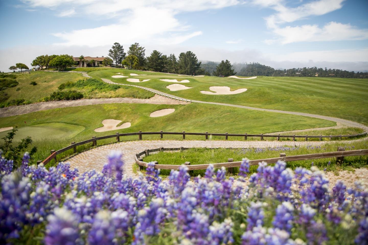 Detail Gallery Image 20 of 30 For 23 Tehama (Homesite 40), Carmel,  CA 93923 - – Beds | – Baths