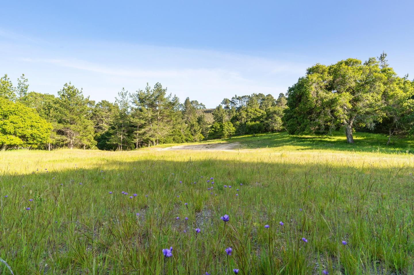 Detail Gallery Image 4 of 30 For 23 Tehama (Homesite 40), Carmel,  CA 93923 - – Beds | – Baths