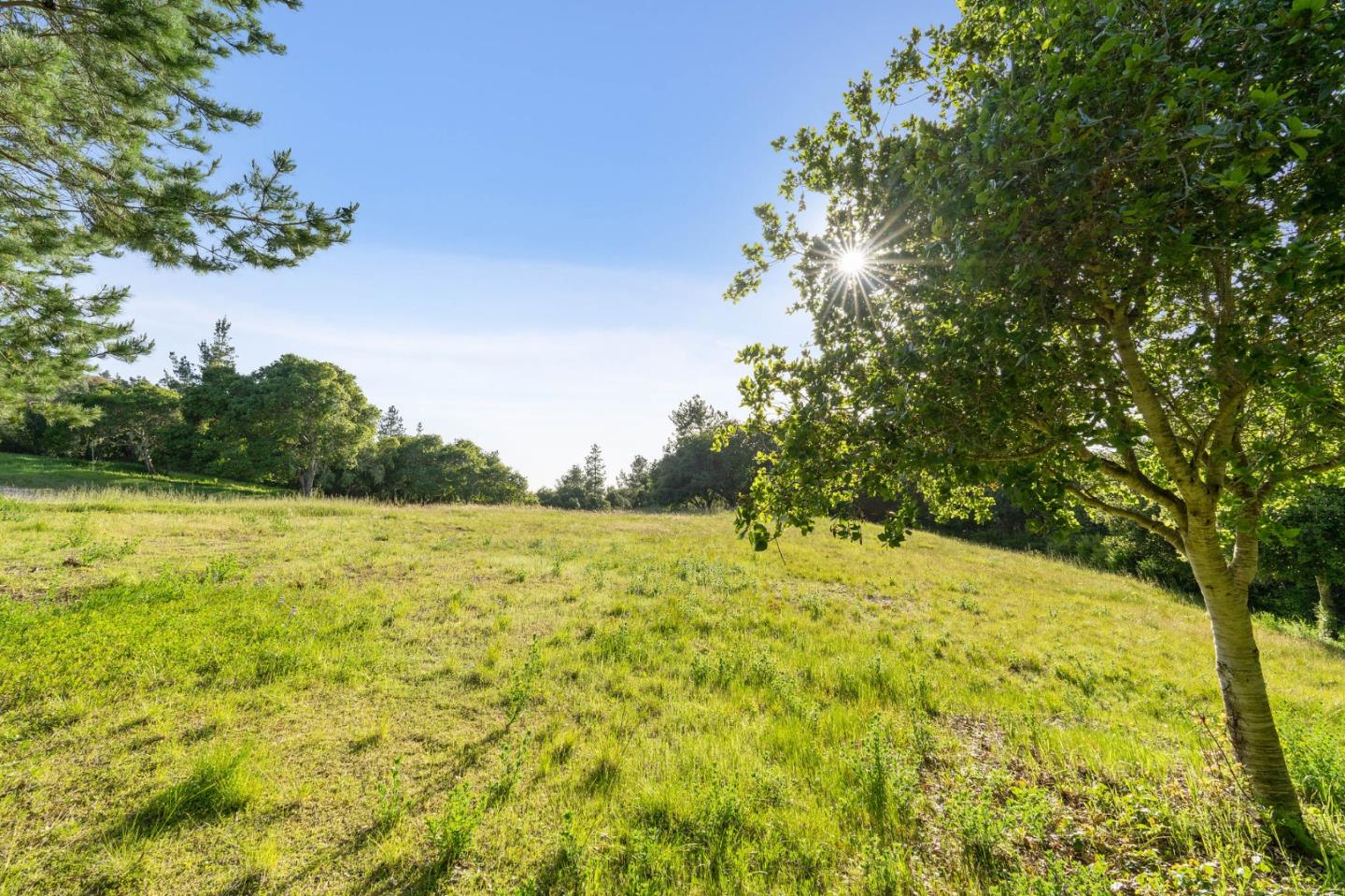 Detail Gallery Image 8 of 30 For 23 Tehama (Homesite 40), Carmel,  CA 93923 - – Beds | – Baths