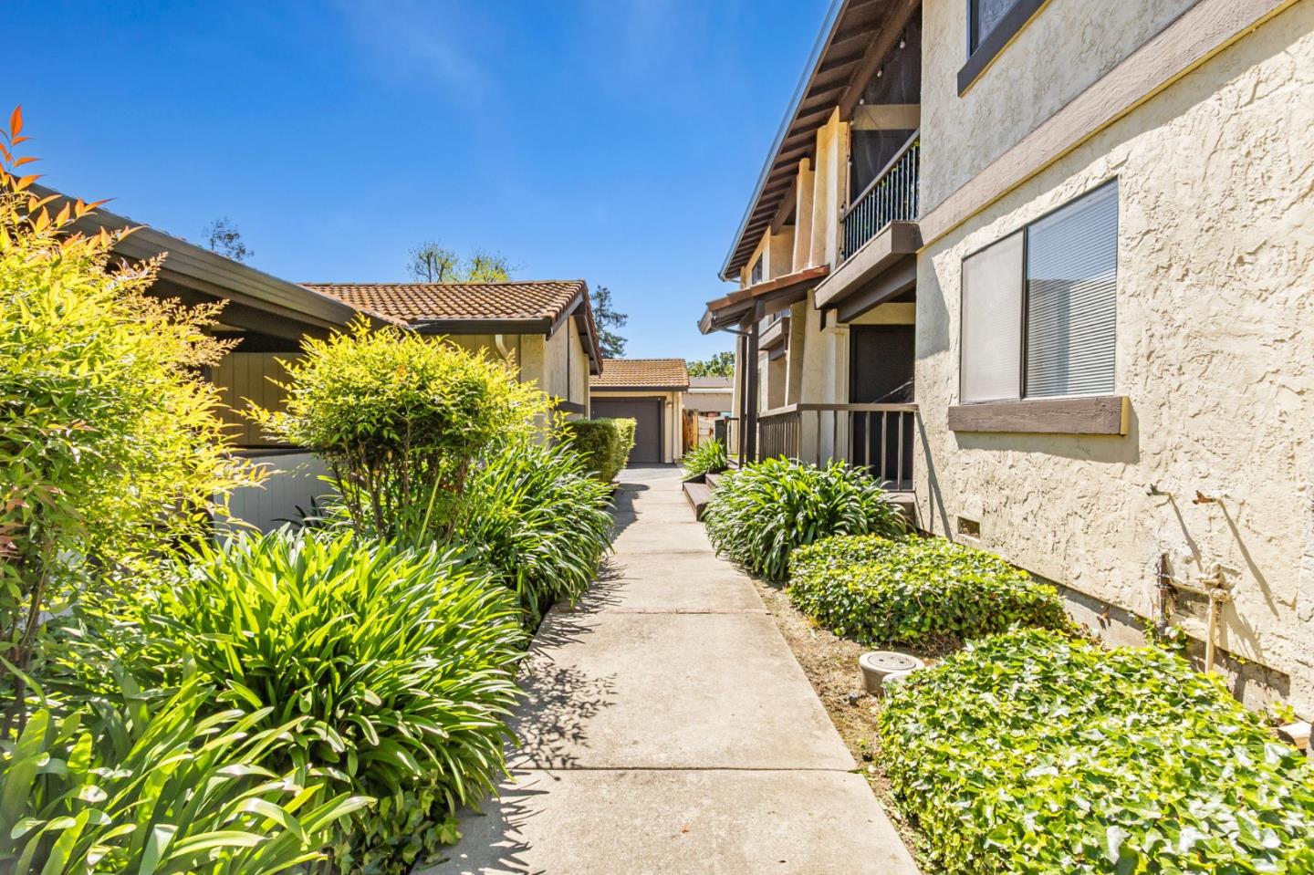 Detail Gallery Image 5 of 42 For 1149 Bird Ave #3,  San Jose,  CA 95125 - 2 Beds | 2 Baths