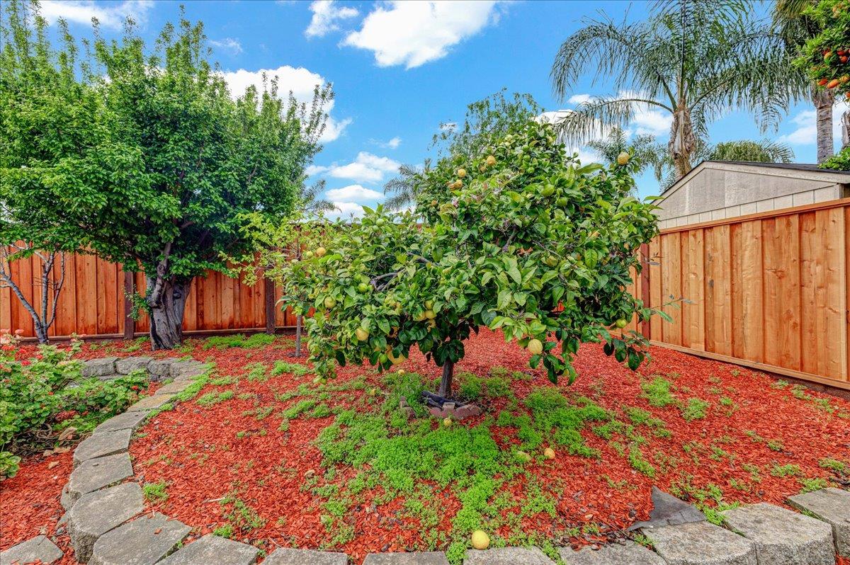Detail Gallery Image 45 of 49 For 824 Acacia Ave, Sunnyvale,  CA 94086 - 3 Beds | 2 Baths