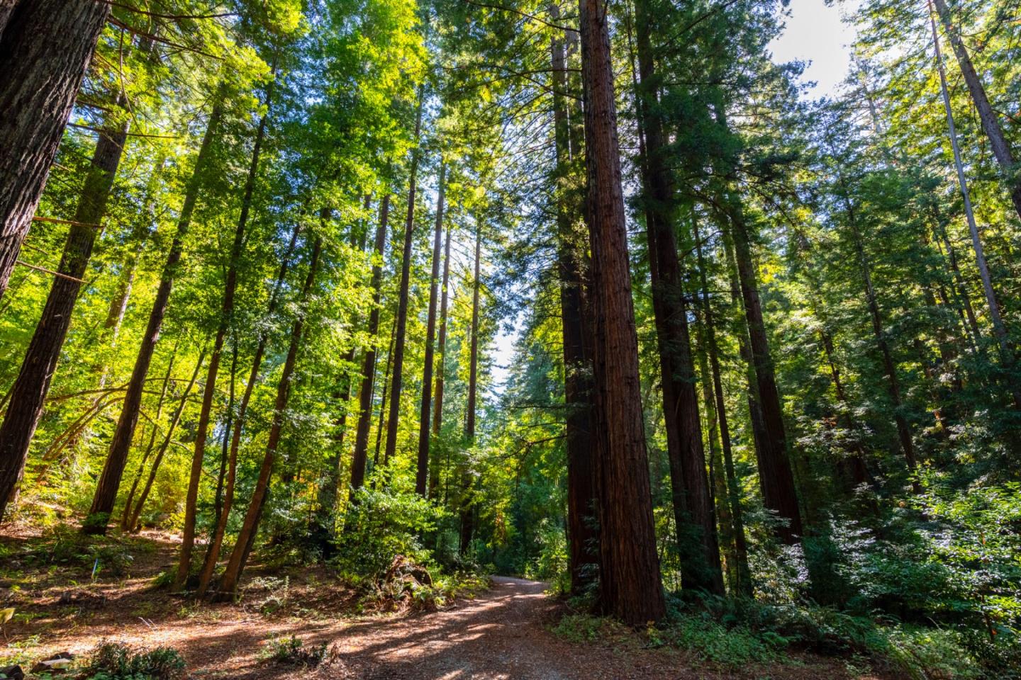 Detail Gallery Image 30 of 35 For 2372 Bean Creek, Scotts Valley,  CA 95066 - – Beds | – Baths