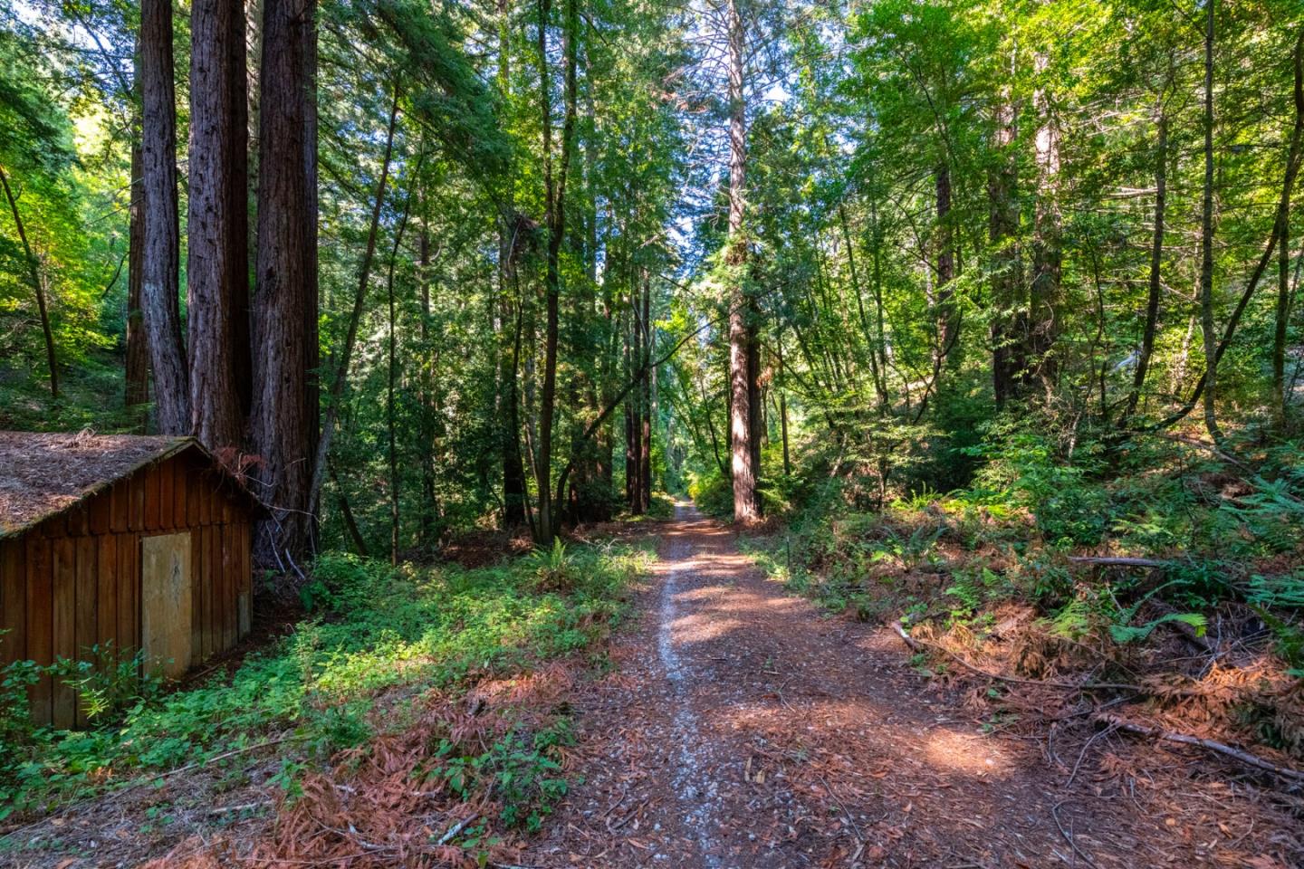 Detail Gallery Image 33 of 35 For 2372 Bean Creek, Scotts Valley,  CA 95066 - – Beds | – Baths