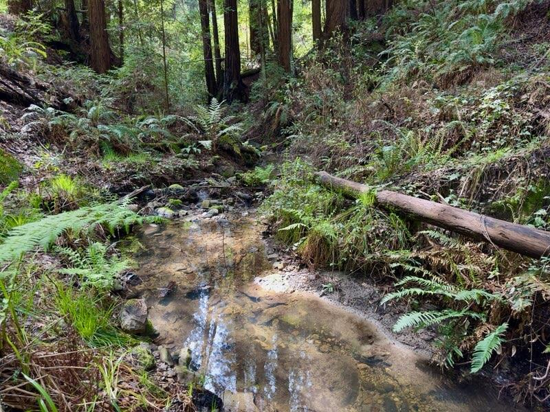 2372 Bean Creek, Scotts Valley, CA, 95066