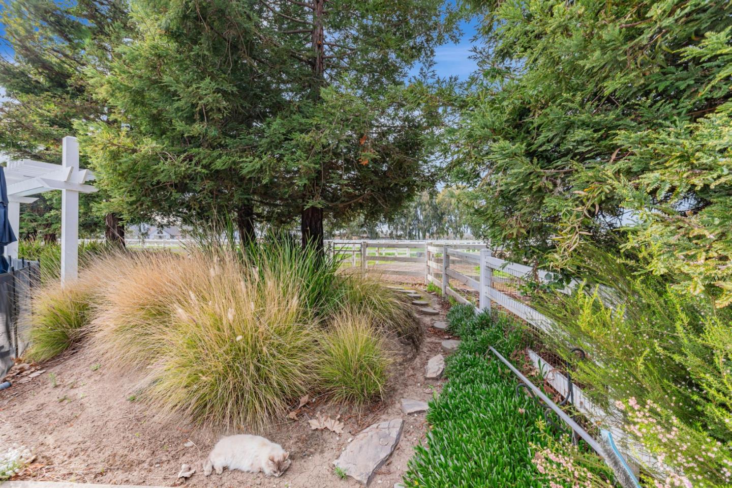 Detail Gallery Image 61 of 93 For 560 Tevis Trl, Hollister,  CA 95023 - 6 Beds | 3/1 Baths