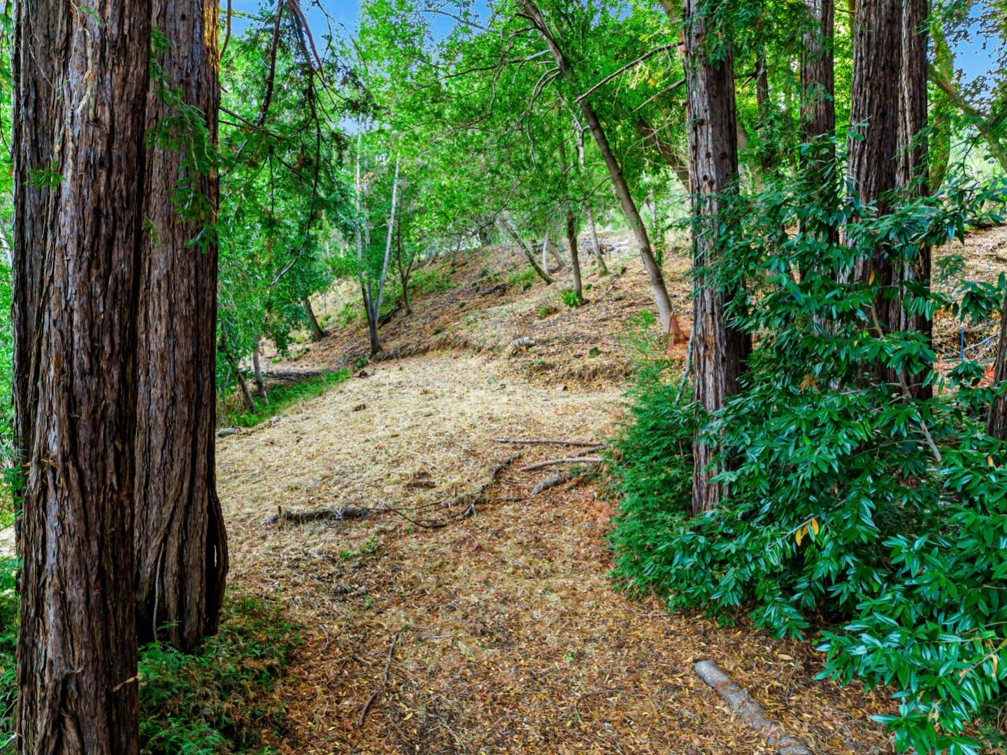 Detail Gallery Image 2 of 3 For 18 Montecito, Woodside,  CA 94062 - – Beds | – Baths