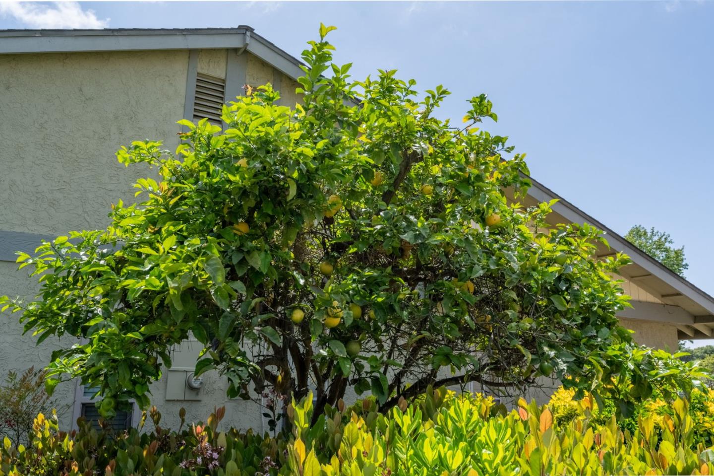 Detail Gallery Image 27 of 28 For 3575 Guava Way, Oceanside,  CA 92058 - 2 Beds | 2 Baths