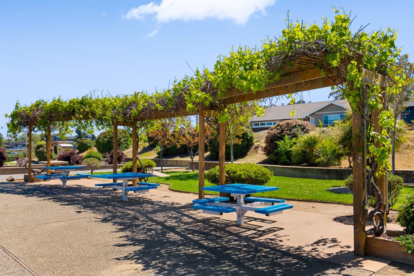 Detail Gallery Image 76 of 87 For 7 Mariposa Ct, Burlingame,  CA 94010 - 4 Beds | 2 Baths