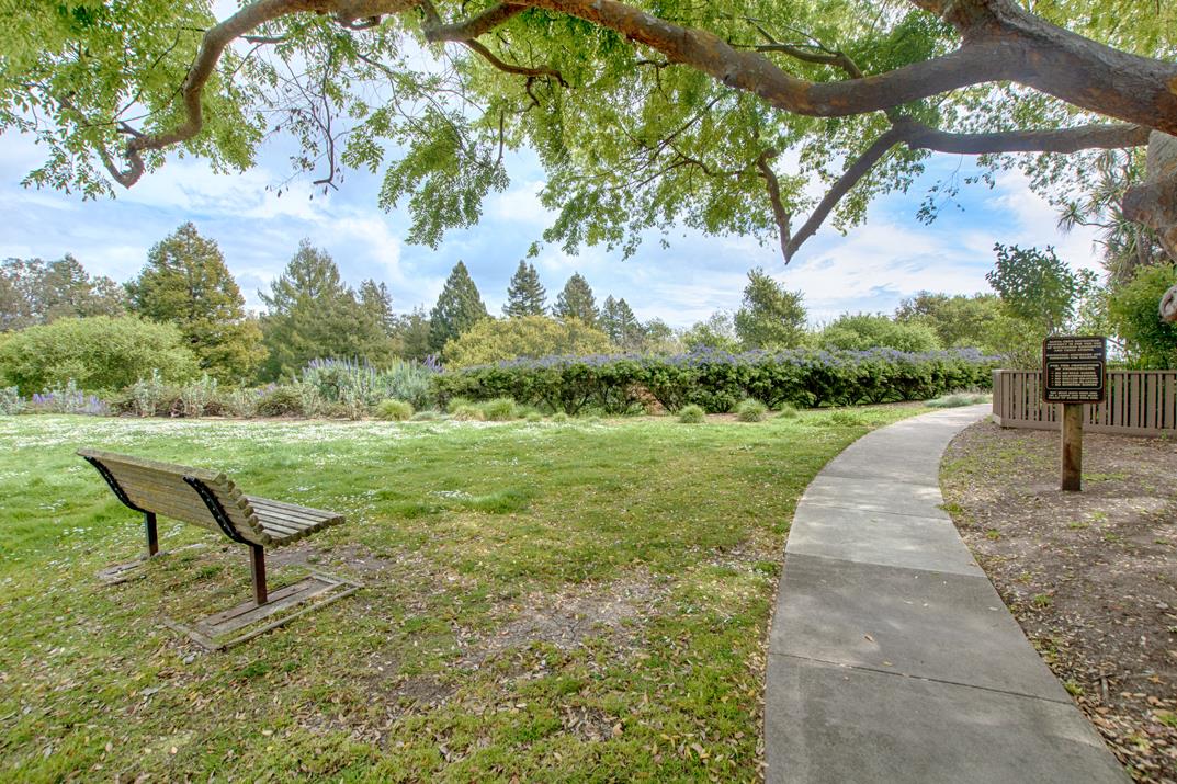 Detail Gallery Image 16 of 29 For 106 Palo Verde Ter, Santa Cruz,  CA 95060 - 1 Beds | 1 Baths