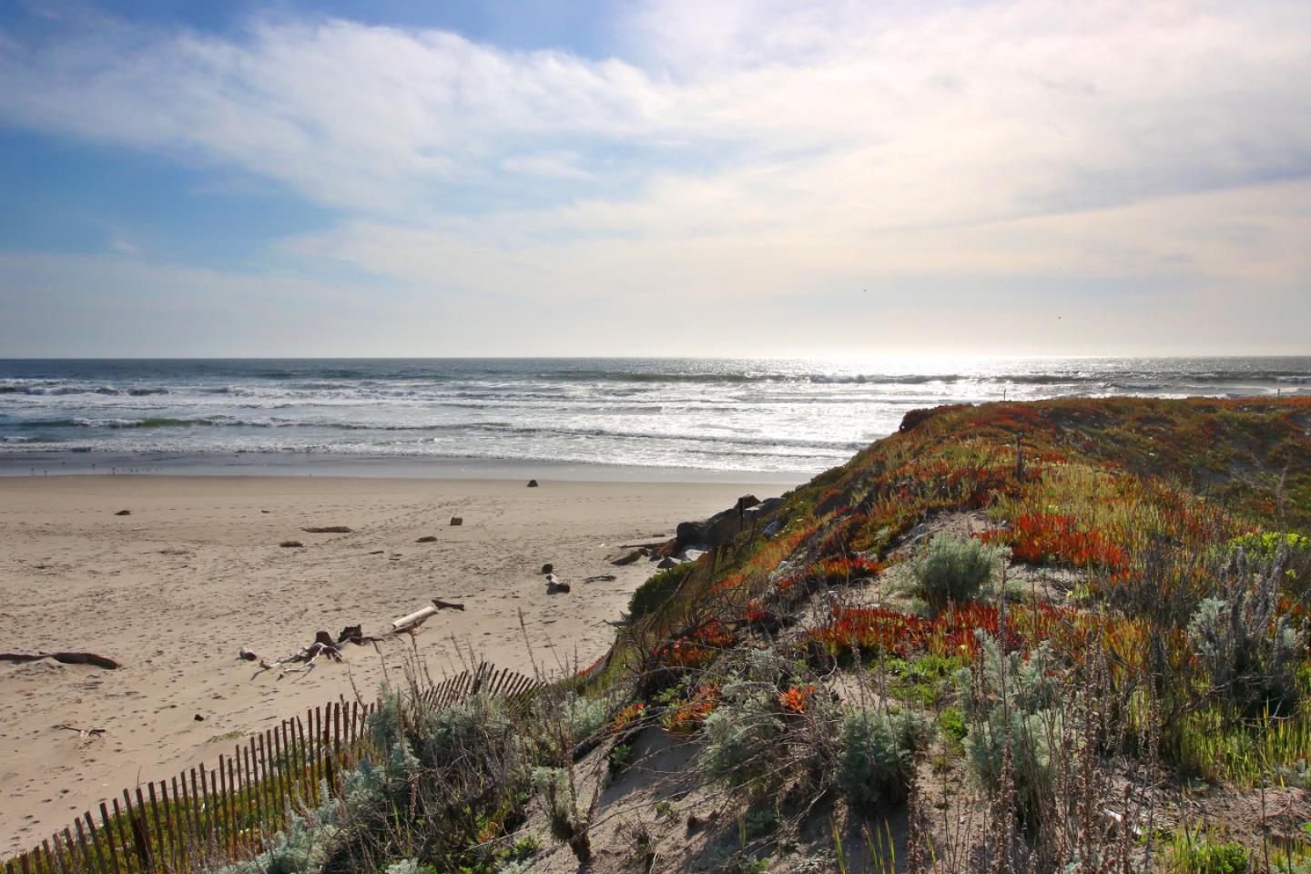 Detail Gallery Image 10 of 41 For 53 Pelican Pt, Watsonville,  CA 95076 - 1 Beds | 1 Baths