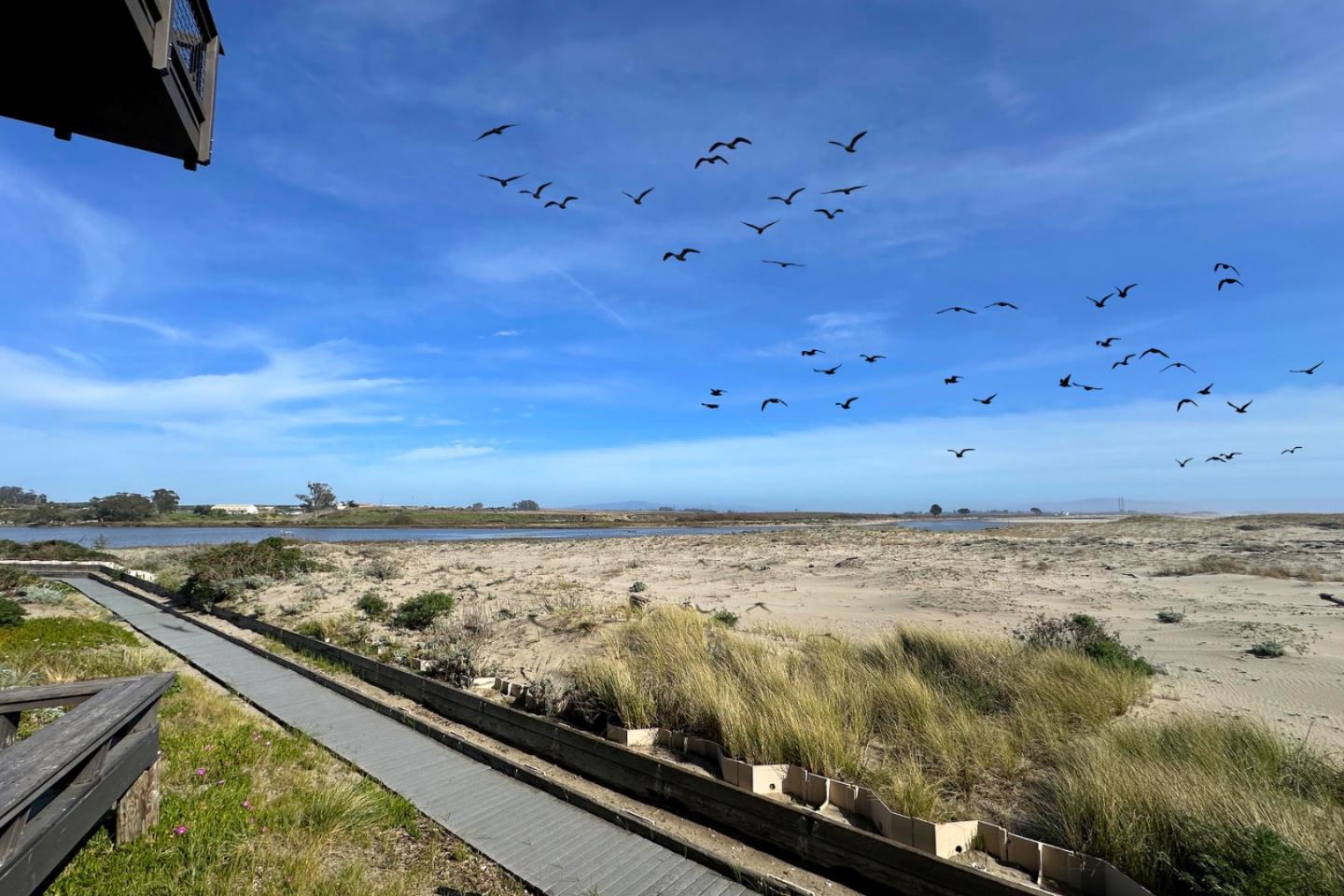 Detail Gallery Image 20 of 41 For 53 Pelican Pt, Watsonville,  CA 95076 - 1 Beds | 1 Baths