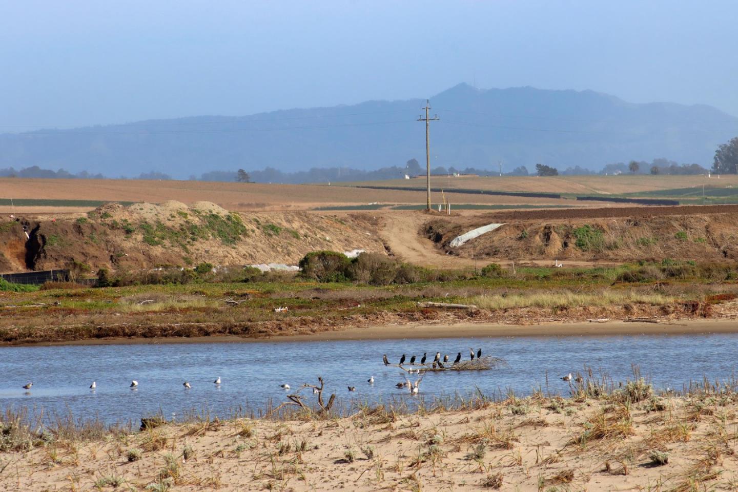 Detail Gallery Image 37 of 41 For 53 Pelican Pt, Watsonville,  CA 95076 - 1 Beds | 1 Baths
