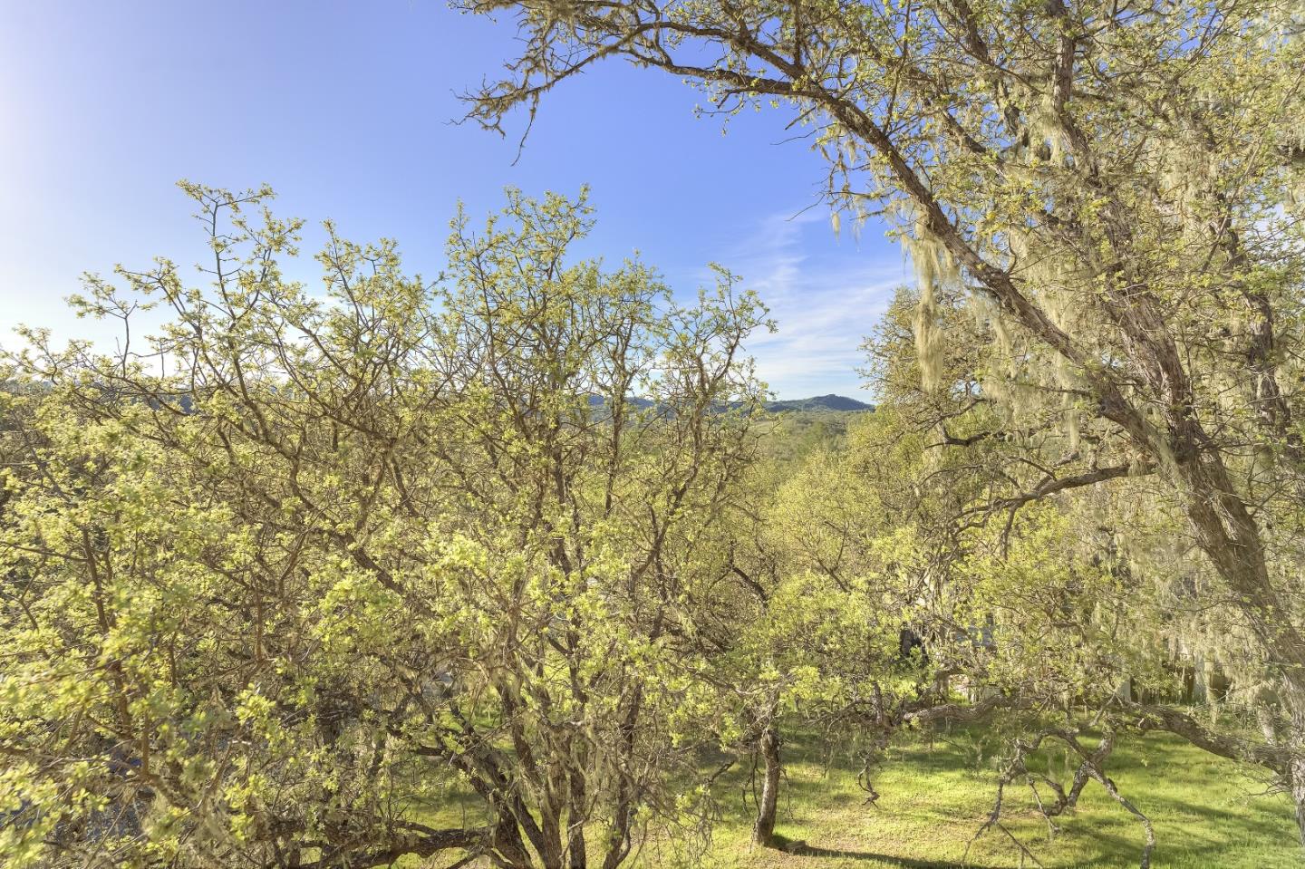 Detail Gallery Image 11 of 40 For 2627 Crows Nest Loop, Bradley_SLP,  CA 93426 - 3 Beds | 2 Baths