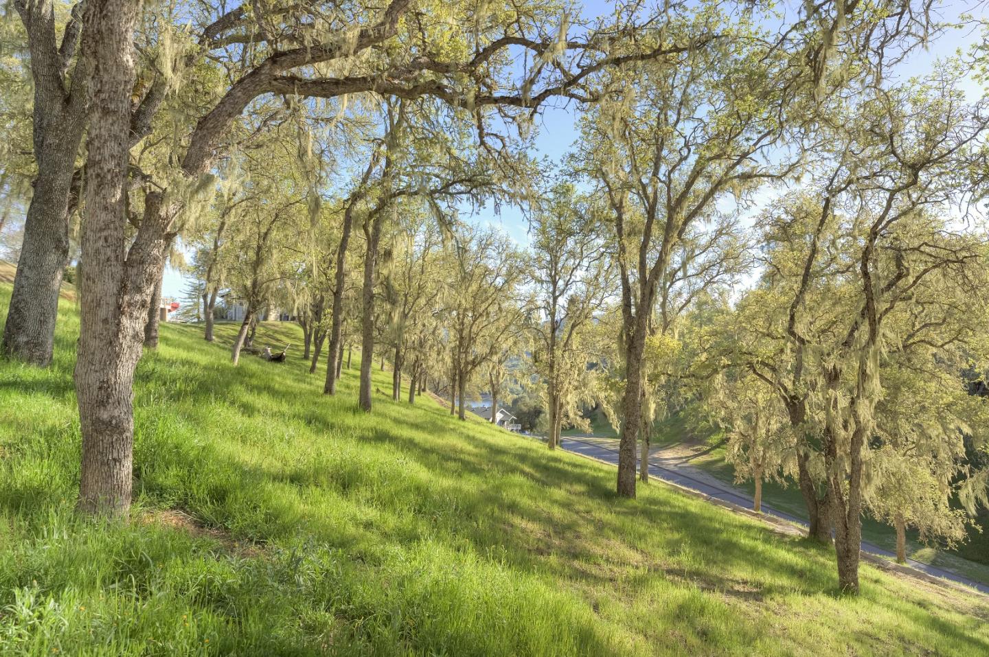 Detail Gallery Image 16 of 40 For 2627 Crows Nest Loop, Bradley_SLP,  CA 93426 - 3 Beds | 2 Baths