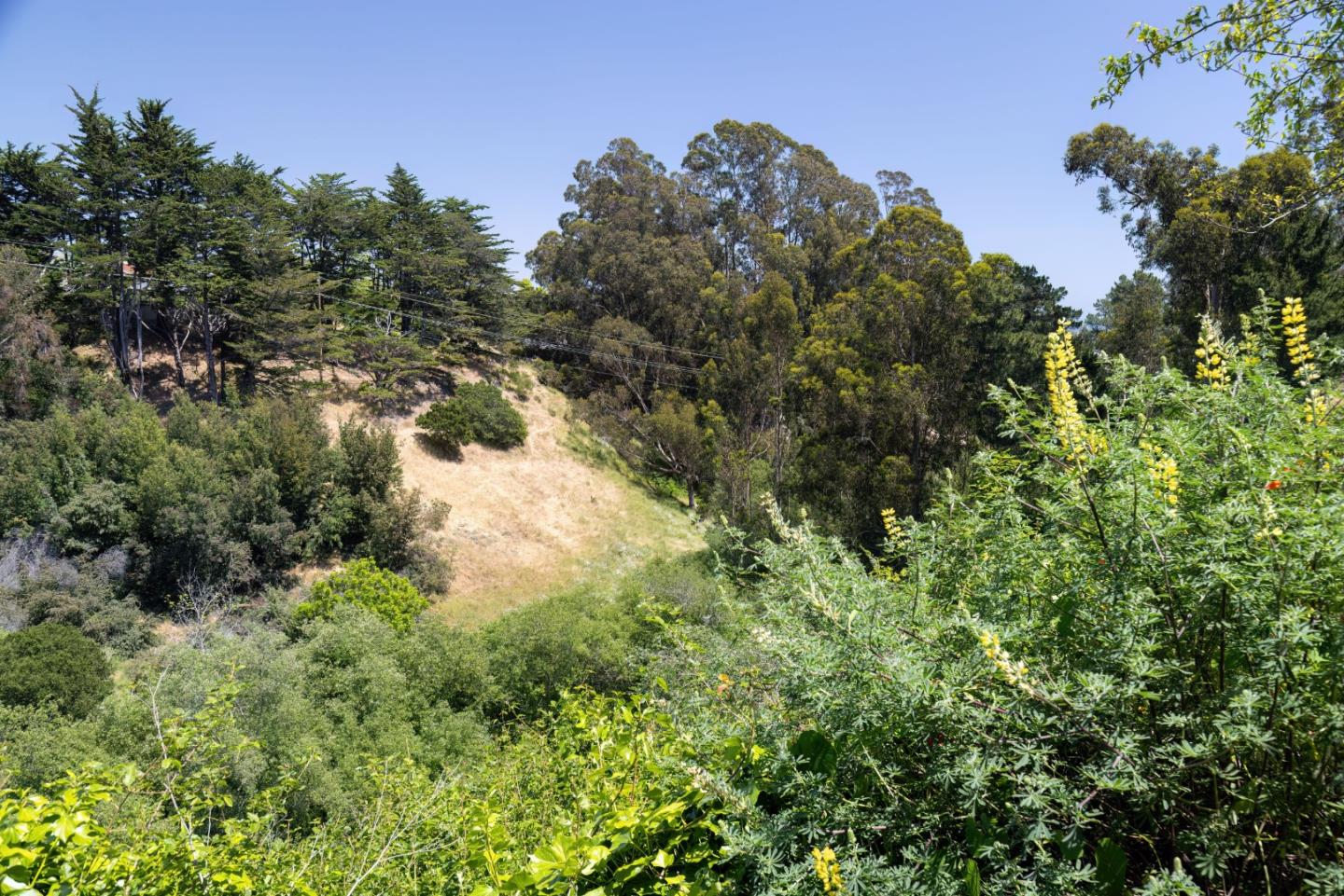 Detail Gallery Image 44 of 49 For 120 Alamo Ave, Santa Cruz,  CA 95060 - 3 Beds | 2 Baths