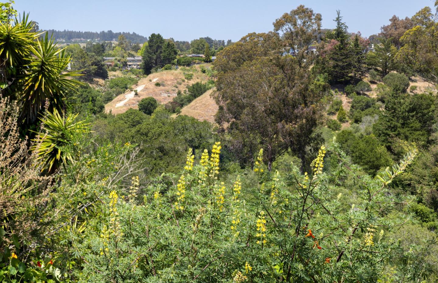 Detail Gallery Image 45 of 49 For 120 Alamo Ave, Santa Cruz,  CA 95060 - 3 Beds | 2 Baths