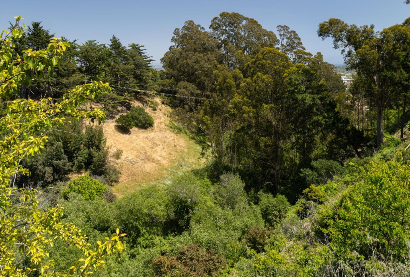 Detail Gallery Image 46 of 49 For 120 Alamo Ave, Santa Cruz,  CA 95060 - 3 Beds | 2 Baths
