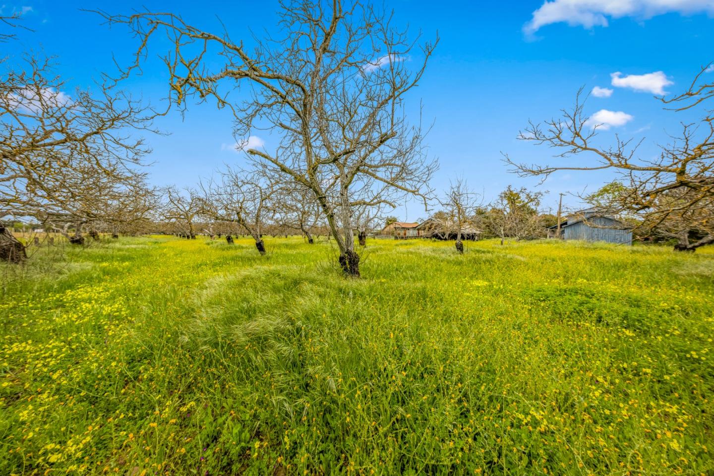 Detail Gallery Image 48 of 64 For 13755 Columbet Ave, San Martin,  CA 95046 - 3 Beds | 2 Baths