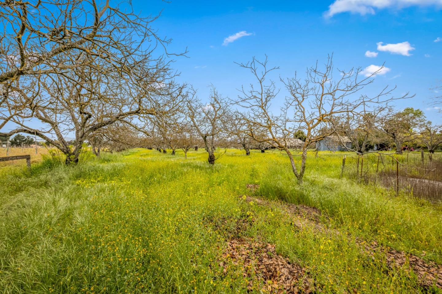 Detail Gallery Image 49 of 64 For 13755 Columbet Ave, San Martin,  CA 95046 - 3 Beds | 2 Baths