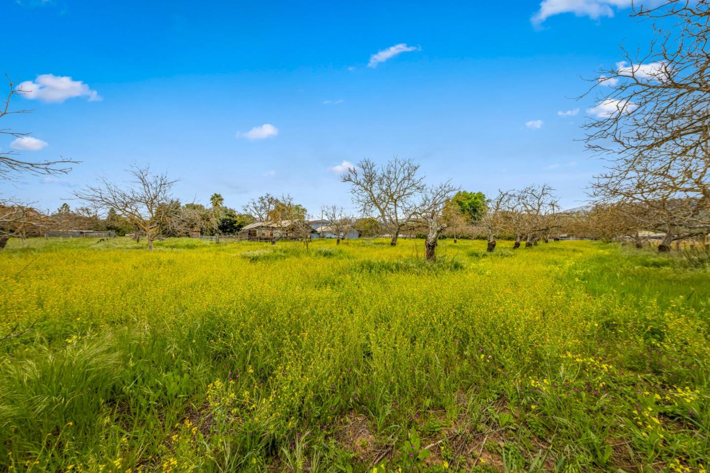 Detail Gallery Image 51 of 64 For 13755 Columbet Ave, San Martin,  CA 95046 - 3 Beds | 2 Baths