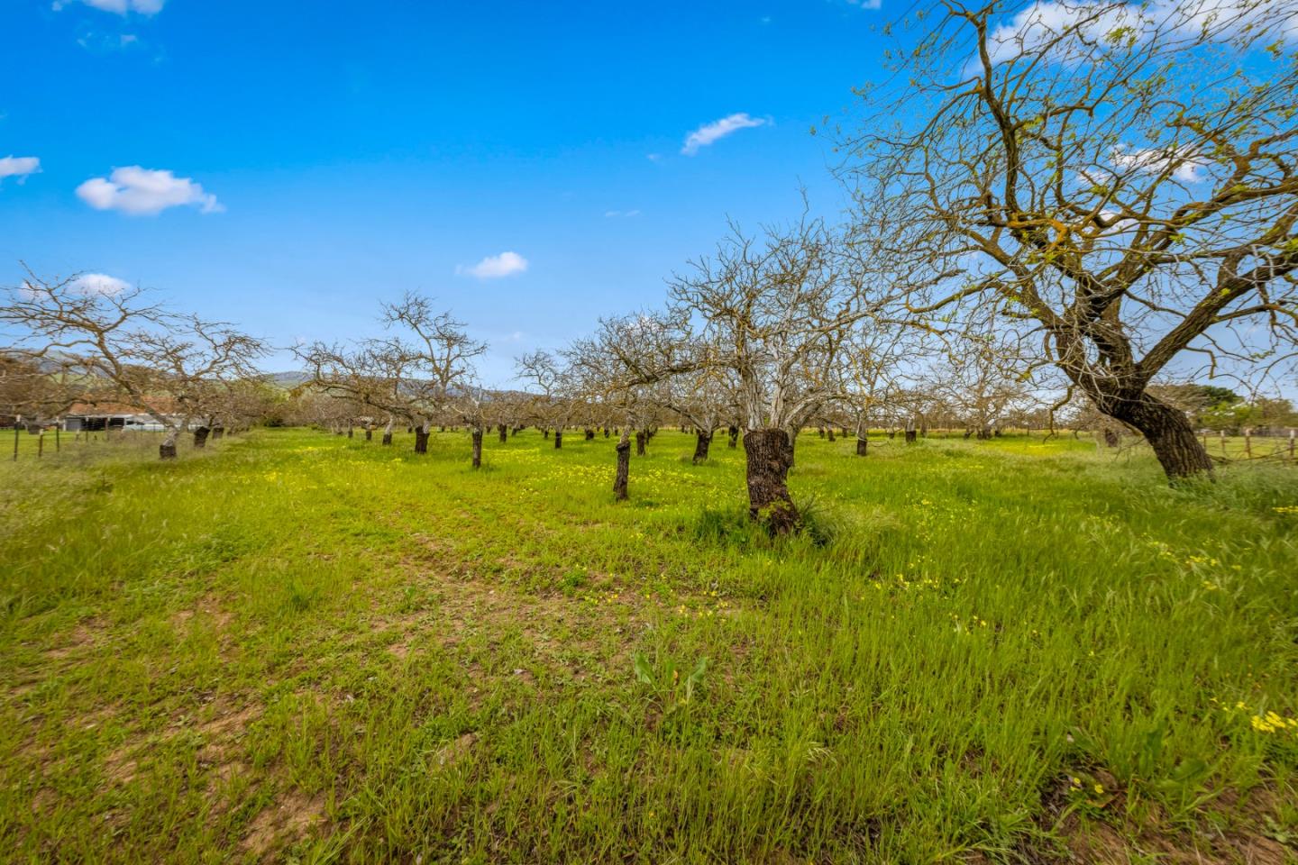 Detail Gallery Image 62 of 64 For 13755 Columbet Ave, San Martin,  CA 95046 - 3 Beds | 2 Baths