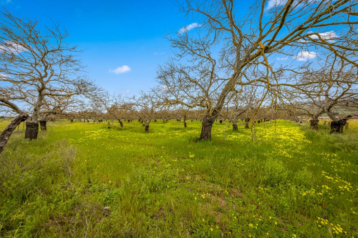 Detail Gallery Image 63 of 64 For 13755 Columbet Ave, San Martin,  CA 95046 - 3 Beds | 2 Baths
