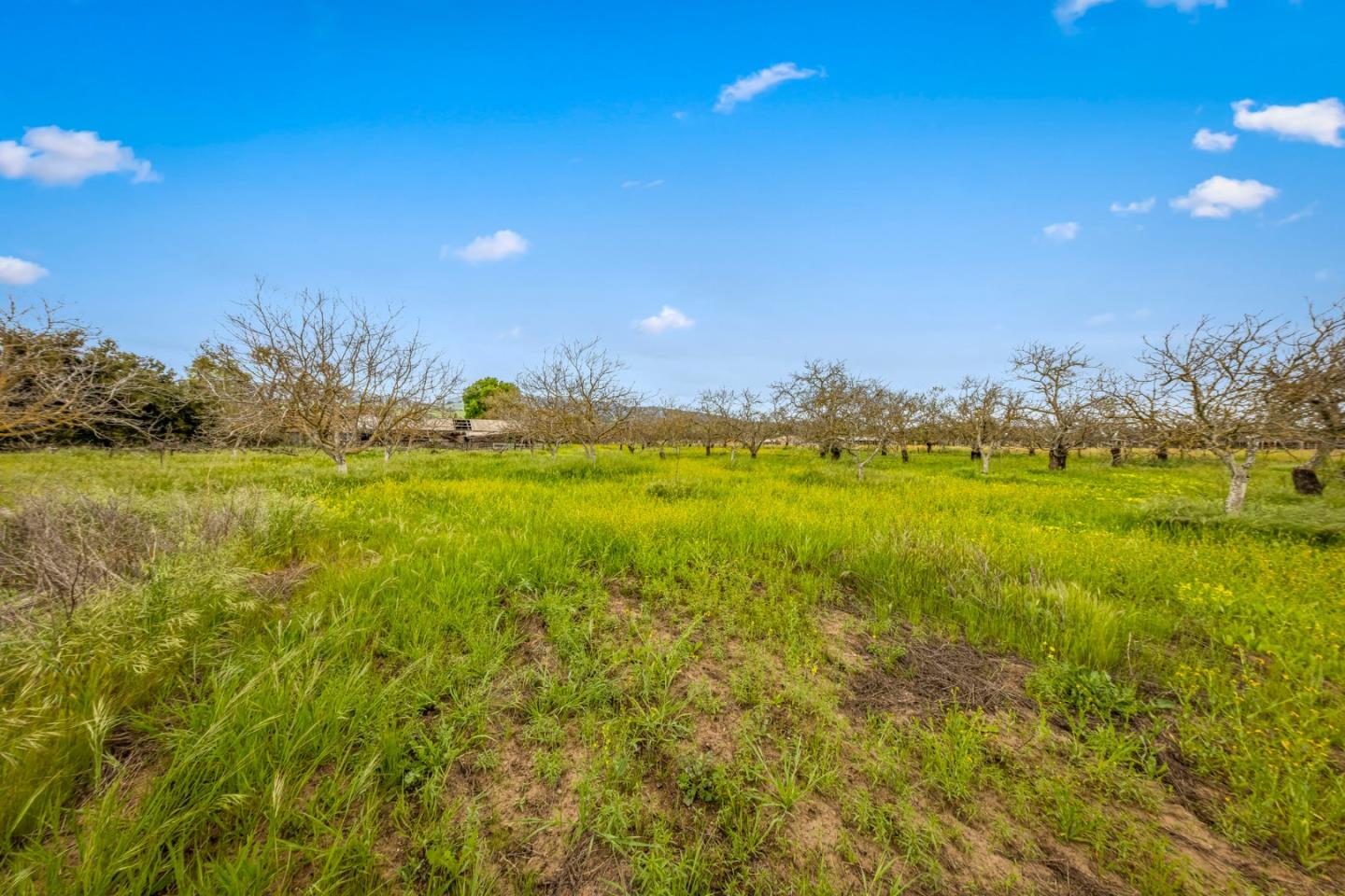 Detail Gallery Image 64 of 64 For 13755 Columbet Ave, San Martin,  CA 95046 - 3 Beds | 2 Baths