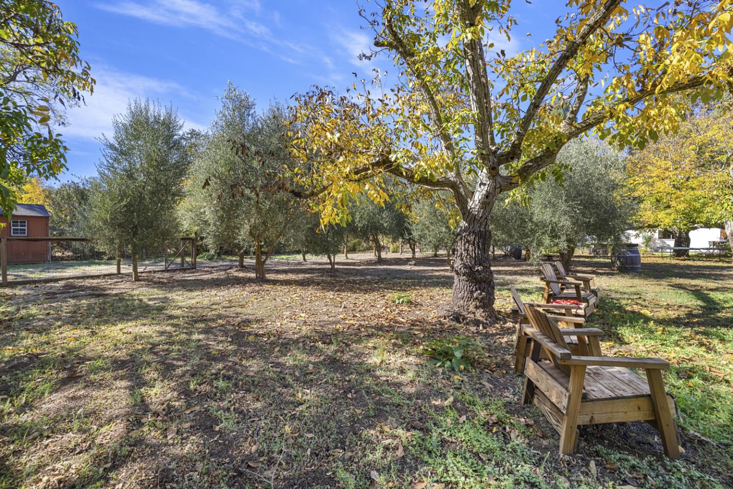 Detail Gallery Image 110 of 178 For 2551 Grant St, Calistoga,  CA 94515 - 6 Beds | 6/2 Baths
