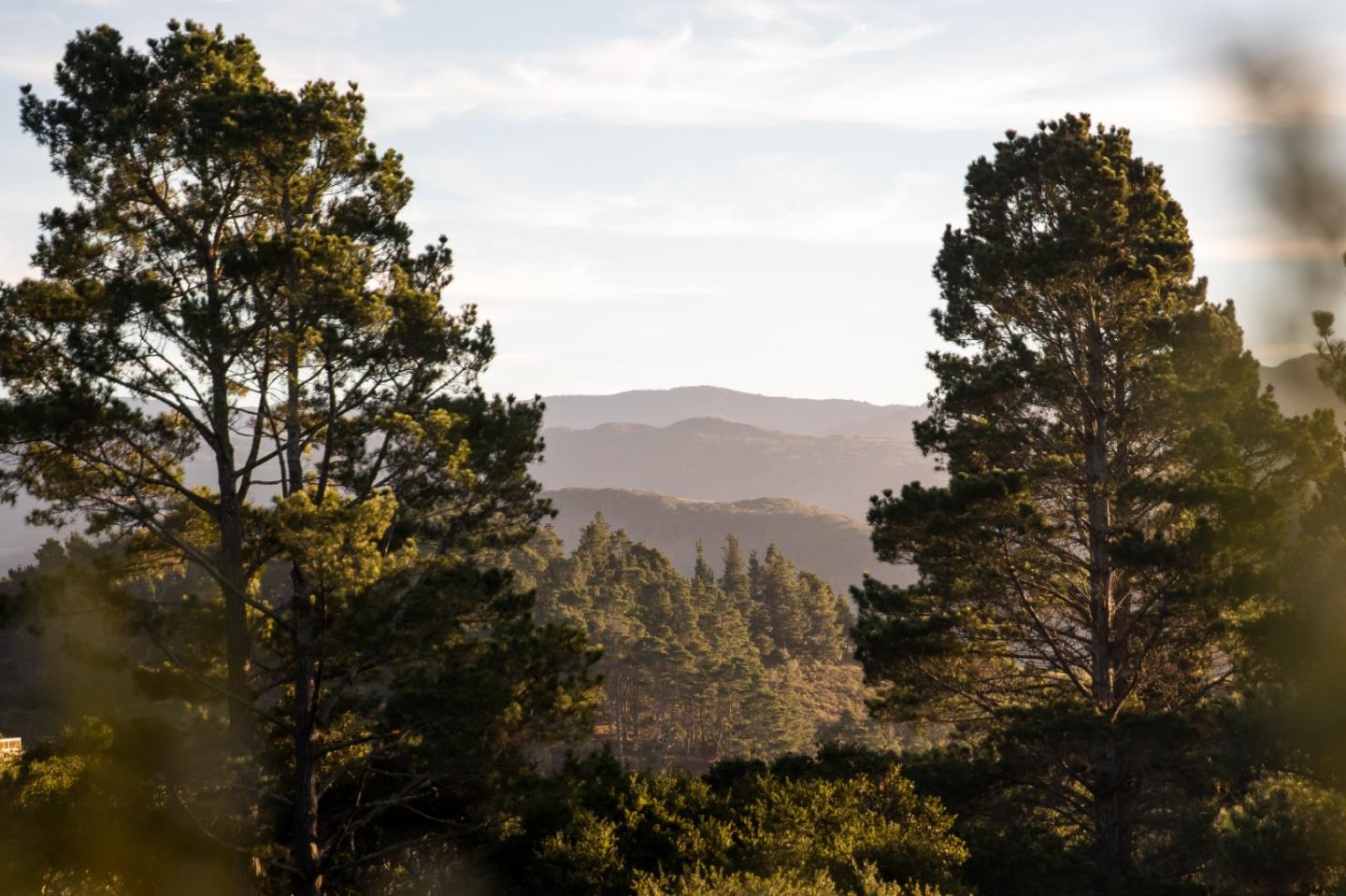 Detail Gallery Image 11 of 32 For 34 Tehama (Lot 29), Carmel,  CA 93923 - – Beds | – Baths